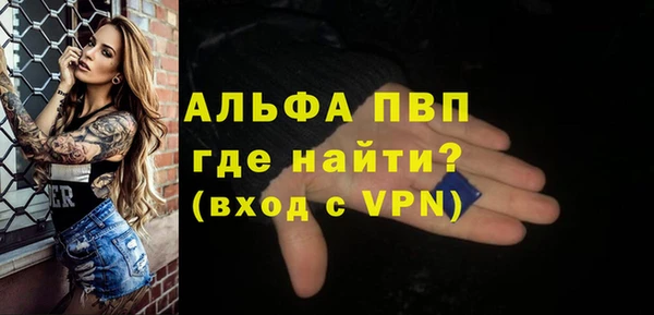 PSILOCYBIN Балабаново