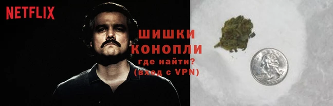 PSILOCYBIN Балабаново