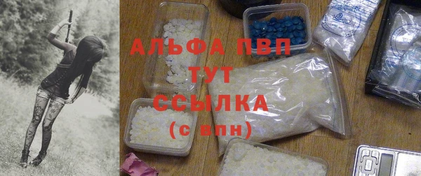 PSILOCYBIN Балабаново
