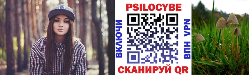 Галлюциногенные грибы MAGIC MUSHROOMS  гидра зеркало  Новосиль  где купить наркоту 
